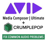 avid crumplepop bundle